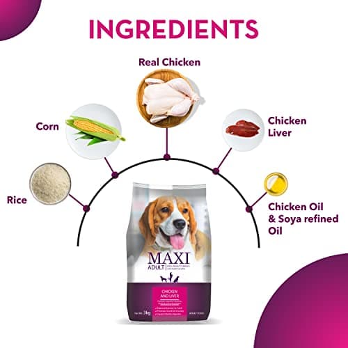 Maxi Adult Dry Dog Food 20 kg Pack | Chicken and Liver Flavour | Promotes Growth & Immunity | Balanced Nutrition | Antioxidants 4
