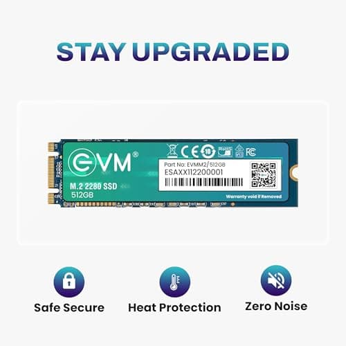 EVM 512GB M.2 SATA SSD 2280 | Internal SSD | Up to 540MB/s Read 450MB/s Write | High Speed Laptop Storage | 5 Year Warranty (EVMM2/512GB) 5