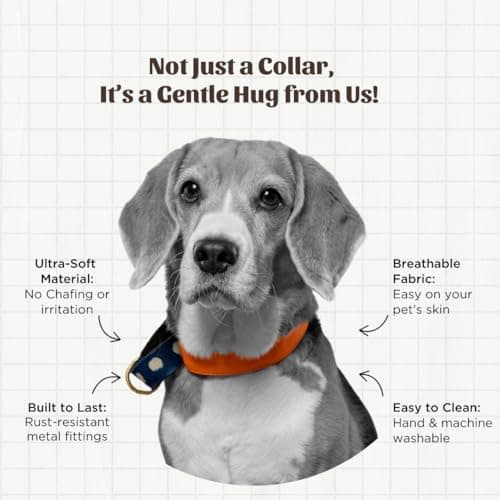 PetWale Orange Fabric Dog Martingale Collar | Comfy & Secure Fit | No Neck Strains | Easy to Use & Durable | Stylish Design | Dog Accessory | Size S 3