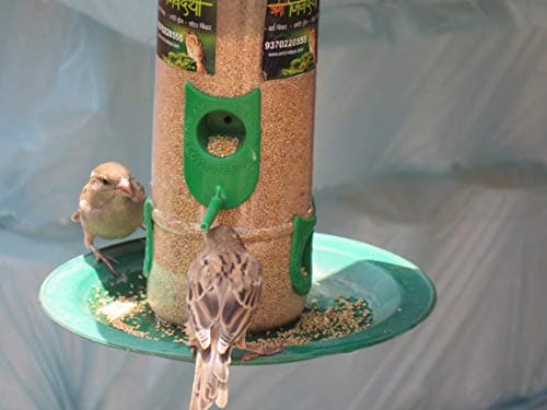 Amijivdaya Large Bird Feeder with Hut Multi Color (1 Pieces) 3