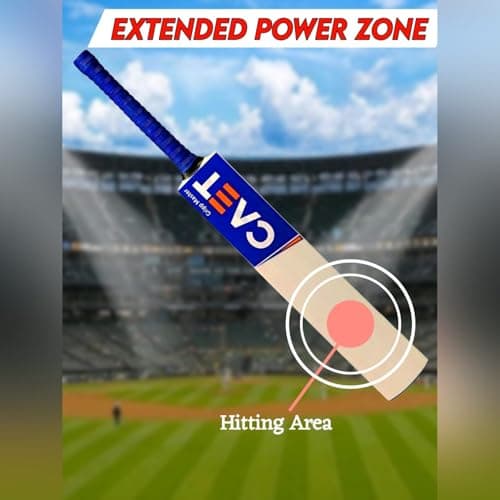 Popular Willow Cricket Bat for All Tennis Balls (Natural, Full Size), Wood, Multicolour(Cricket Bat) 3