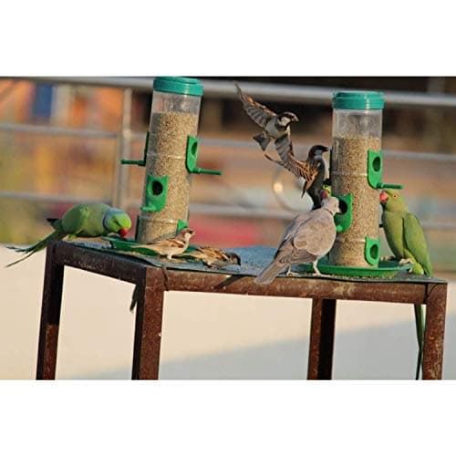 Skybeings Bird Feeder for Bird Food Large 4 Piece_Yellow 3