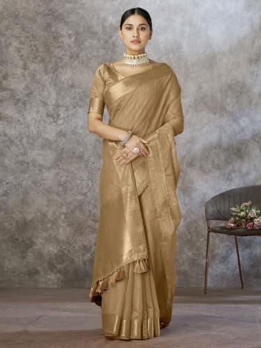 SWORNOF Women's Cotton silk saree for Patola festival Wedding silk with blouse piece (CHIKU) 2