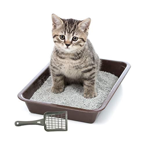 The Pets Company Cat Litter Scooper, Set of 2, Multicolor 4