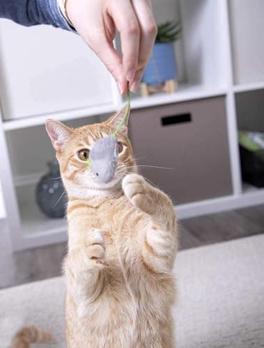 PSK PET MART Engaging and Entertaining Plush Cat and Kitten Playing Toy - Interactive Mouse Toy for Cat Play, Provides Hours of Joyful Playtime for Your Feline Friend (3 Pcs) 6