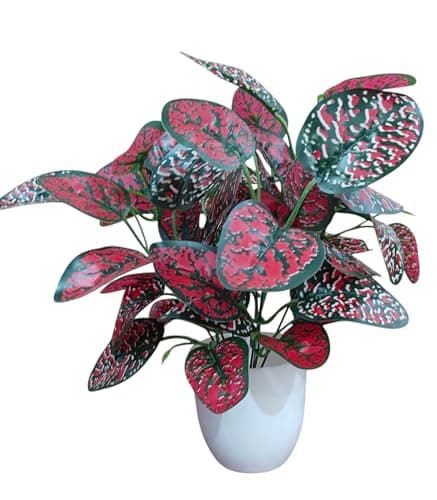 BAARIG Natural Looking Artificial Money Plant/Tree with Pot | Ornamental Plant for Interior Decor | Home/Shop/Office Décor (Red)