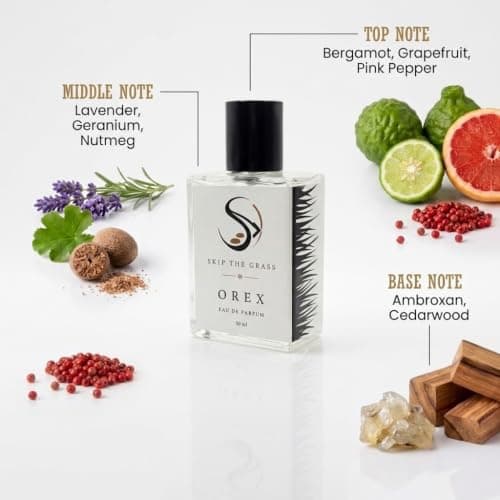 OREX Eau De Parfum for Men | 25% Oil Concentration | Long Lasting | 50ml 3