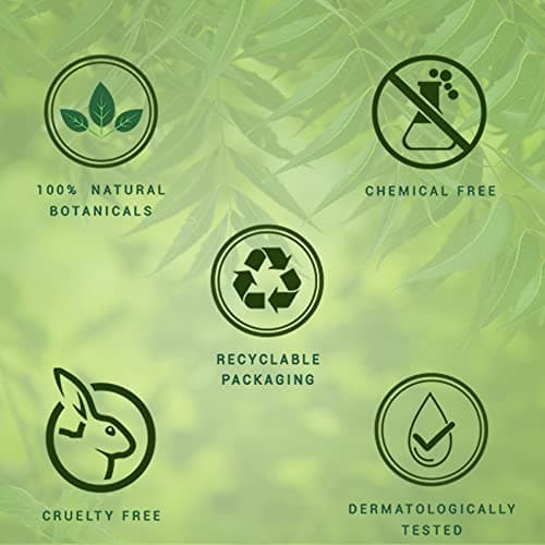 Biotique Fresh Neem Anti Dandruff Shampoo and Conditioner | Controls Dandruff | Eliminates Dryness, Flaking, and Itching | Hair Looks Fresh and Lustrous |Suitable for All Skin Types | 500ml 4