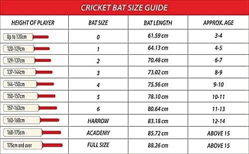 Pro Play Cricket Bat Popular WillowFull Size with Bat Cover Play for Rubber Ball | Tennis Ball | Plastic Ball (Grey Nicols) 2
