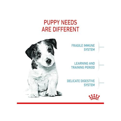 Royal Canin Mini Puppy Food, Dry Food, Supports Complex Natural Defence & digestive health, Supports Immune System, 800 Grams 3