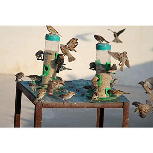 Skybeings Bird Feeder for Bird Food Large 4 Piece_Yellow 4