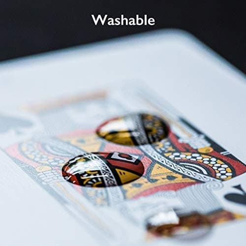 The Ace Card Company Premium Plastic Playing Cards with Case (2 Decks) - Made in India, Bridge Size, Waterproof - Multicolor, Pack of 2 5
