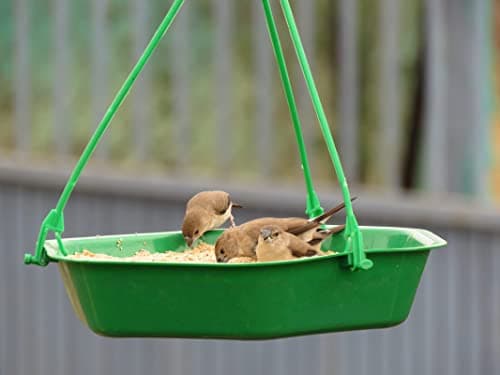 Amijivdaya Plastic Bowl Bird Feeder for Food & Water, Multipurpose, Large 2