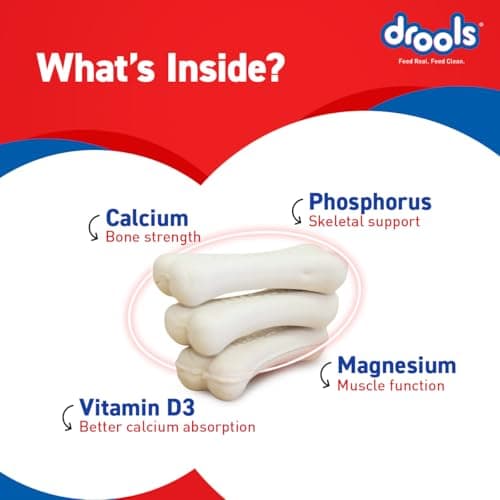 Drools Absolute Dog Bone Treats 300g 20 Pieces Jar | Milk Flavour | Strengthens Gums and Jaws | Enriched with Calcium and Phosphorus | Keeps the Dog's Teeth Healthy and Clean 4