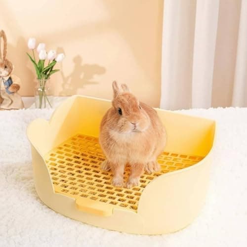 SNAPPSY Dwarf Rabbit Potty Tray Flower Shape Large Rabbit Toilet Box Easy to Clean Guinea Pig Litter Box for Indoor, Tulip Orange 4