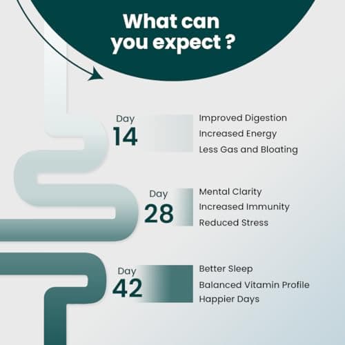 Supply6 360 Ultimate Health Powder for Women & Men | Daily Supplement with 63+Vitamins, Minerals, Probiotics, and Superfoods | Daily Greens | Gut Health supplements, Energy, Immunity(30 Servings) 5