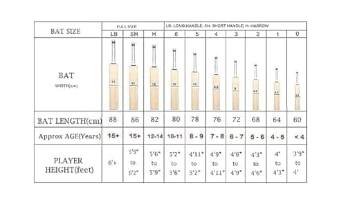 WRF Super Strock_Green Popular Willow Cricket Bat Full Size Play for Plastic Ball,Tennis Ball, Rubber Bal (Blue Bat New Gold Edition-A1) 4