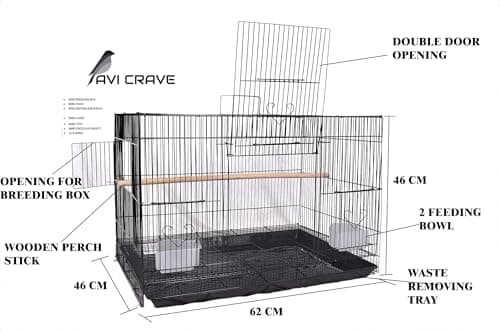 AVI CRAVE Bird Iron Cage For Budgies,Finches,Love Birds,Cocktails,Conures,Black, 1 level, medium 3