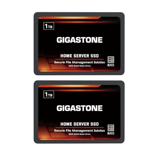 Gigastone 【NAS Certified】 Home Server SSD 1TB (2-Pack) Up to 550MB/s TLC Flash with SLC Caching 24/7 Reliable for Gaming/PC/NAS SSD 3-Year Warranty 2.5" SATA Internal Solid State Drives RAID Disk