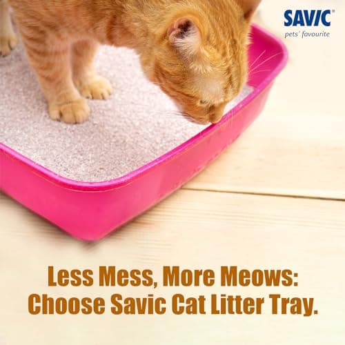 Savic Cat Litter Tray for Indoor Cats, Open Easy-Clean Cat Toilet Box with Low Entry Design, Hygienic Durable Plastic Litter Tray for Daily Use – 15 Inch, Assorted Colours 4