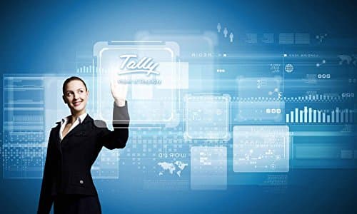 Tally.ERP 9 Silver GST Ready- Single User (Activation Key Card) 3