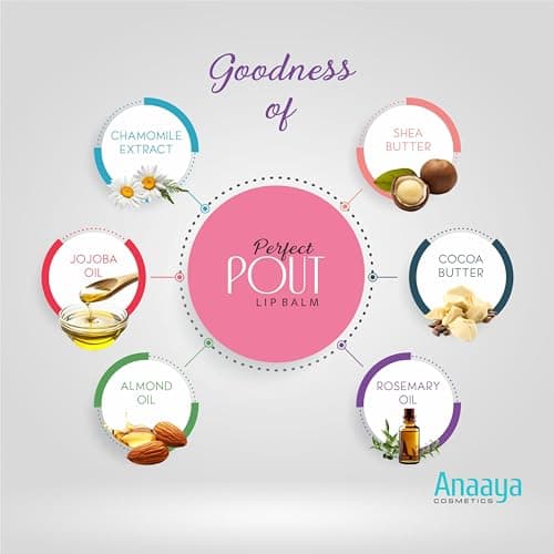 Anaaya Perfect Pout Lip Balm SPF 30 Enriched with Shea and Cocoa Butter Berry Fruit 4