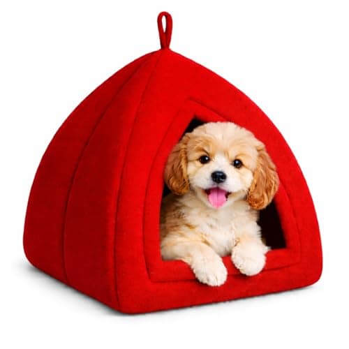 ZEXSAZONE Dome Shape Soft Plush Pet Bed for Puppies, Small Dogs & Cats | Cozy Indoor Pet House with Removable & Washable Cushion | Warm Cave Design Winter & Summer Pet Bed (42 x 40 x 40 CM) Red