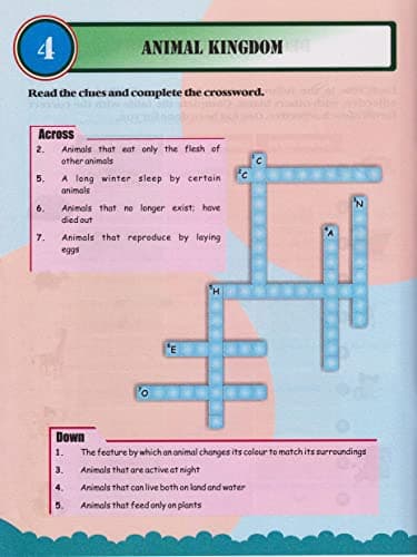 GIKSO Activity Book: Fun Activity Book for Kids Age 8-12 Years Old(English) | Includes Brain Puzzles, Riddles, Mazes and Logical Reasoning Activities (Revised Edition) 2