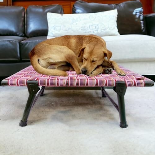 Nattnak Elevated Foldable Dog Bed (36x24x12 Inch) | All-Seasons Comfort | Breathable Nylon Niwar Mesh | Strong Iron Frame Cot Bed for Dogs & Cats | Anti-Skid, Waterproof, Durable Pet Bed | Multicolor 3