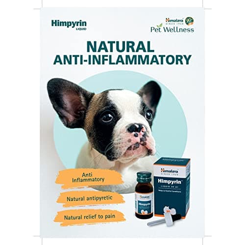 Himpyrin 2