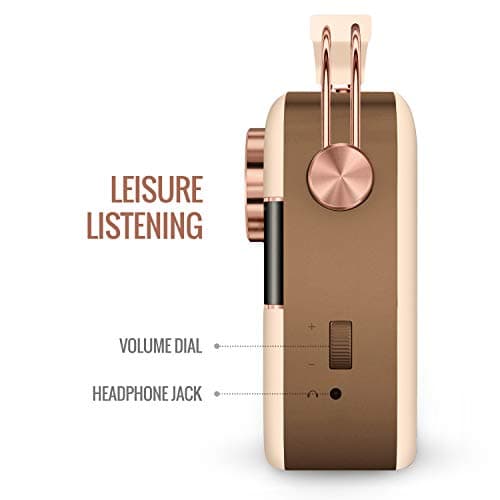 Saregama Carvaan Hindi Portable Music Player - Sound by Harman/Kardon with 5000 Preloaded Songs, FM/BT/AUX (Rose Gold) 5