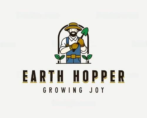 200+ SEEDS- Hybrid Climbing Rose Flower Mix Seeds, Year-Round Blooms. 5