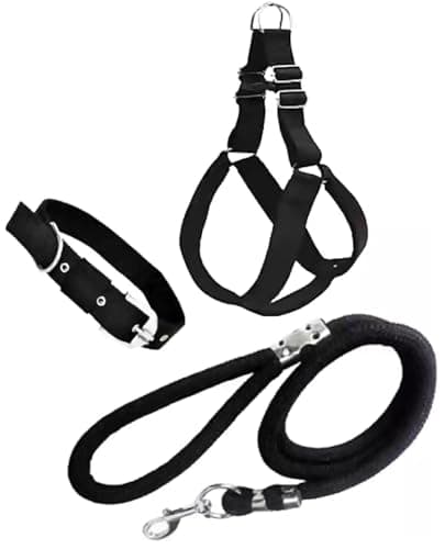 Agirav No Pull Dog Harness - Step in Dog Harness and Leash for Small Medium Large Dog - Escape Proof Adjustable Soft Leash Collar Set for Walking Training Hiking Outdoor, 15 Cm, 15 Cm