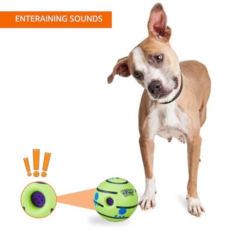 amazon basics Interactive Sound Ball Toy for Dogs and Puppies| Fun Squeaky Sounds | Pet-Safe Materials| Suitable for All Dog Breeds | Size - Large 2