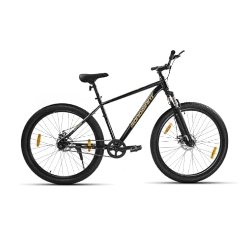 ROADGIANT BLACKGOLD-24- Z Black-Single Speed -Steel
