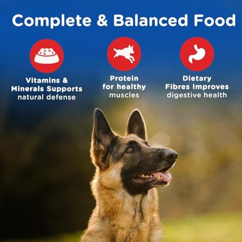 Chappi Adult (1+ Years) Dry Dog Food, Chicken & Rice, 7 kg, Complete and Balanced Food for Adult Dogs 3