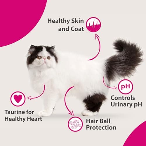 Maxi Persian All Life Stages Dry Cat Food 7kg + 7kg (Total 14kg Pack) | Complete Nutrition | Supports Skin & Coat Health | Taurine for Heart 6