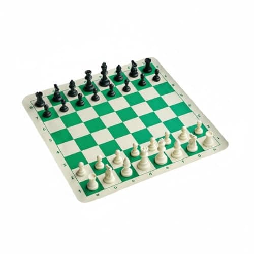 UJEAVETTE Zippered Portable Chess Set Carrying Bag Travel Chess Board with Handles Game Kit, Chess Only
