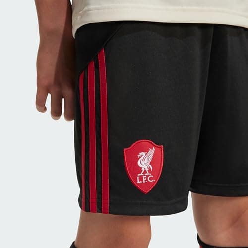 LFC A SHO Y 3