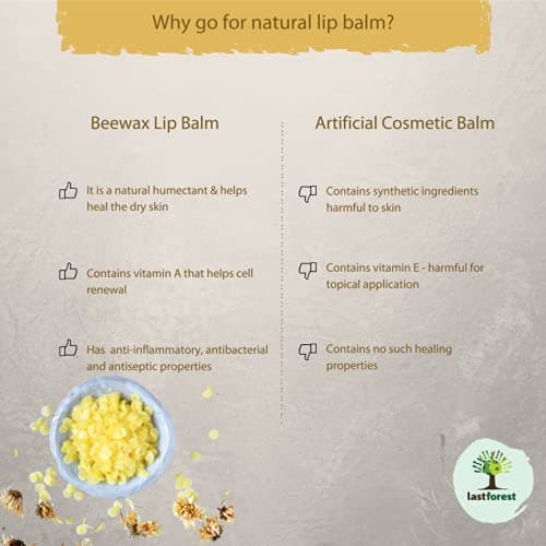 Last Forest Beeswax Lip Balm for Men & Women 5g, Non-sticky, 24 Hrs Lip Moisturizer For Dry And Chapped Lips, Nourish & Protect (Orange) 4