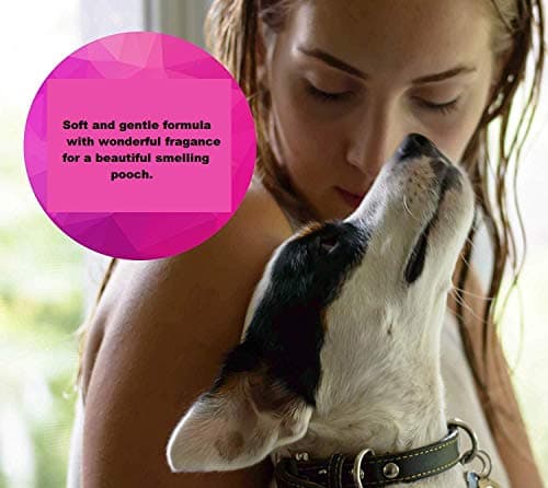 Picckola International Oh My Dog Oatmeal & Itch Relief 1000 ml Shampoo for Dogs & Puppies 5