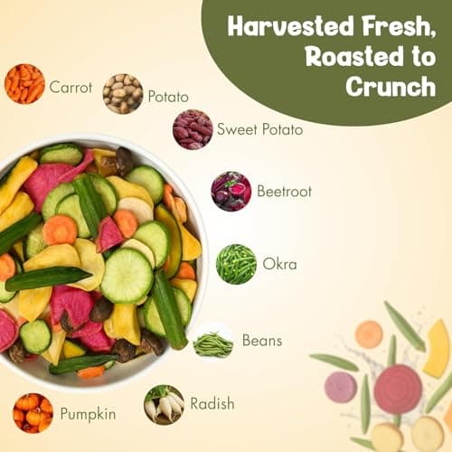 Snack It Up Vacuum Cooked Mix Vegetable Chips (90g) | Healthy Chips | 8 Real Dehydrated Air Fried Healthy Snacks | Gluten Free, Vegan, Plant Based | Low Oil, Zero Preservatives | Organic , Non GMO, Lo 5