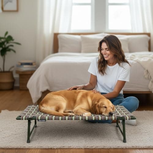 NATTNAK Elevated Dog Pet Bed with Leg Fold Iron Frame Premium Niwar Strips Size 42x24x12 Inch Indoor/Outdoor Use Already Assembled 2