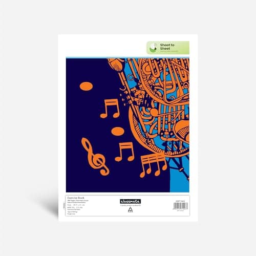 Classmate Long Book| 384 Pages | Single Line | 29.7cm x 21.0cm | Pack of 4 | Long Size Ruled Notebook for School Students 2
