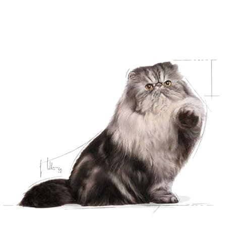 Royal Canin Persian Adult Food, Dry Food, Supports Healthy Growth & Long Hair, Digestive Health, and Reduction in Hairball Formation, 2 Kg 3