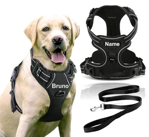Kraftidy Dog Harness with Name id Customized for Dogs Large Medium Small Puppy All Breeds No Pull Harness Reflective Vest Harness Belt Adjustable with Personalized Dog Name (Black) (Large Dogs)