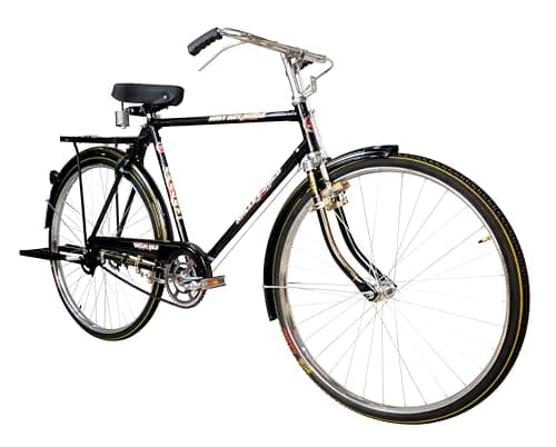 RALLEY GOLD Rally Popular 22 Inch Men's Full Size Bicycle | with Carrier, Stand and Lock | Single Speed (48 Teeth Heavy Duty Chainwheel), Road Bike