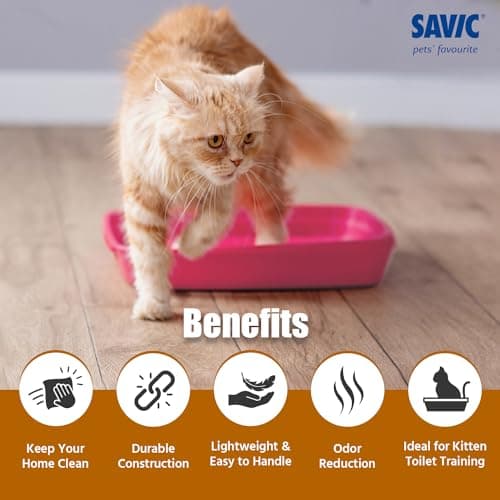 Savic Cat Litter Tray for Indoor Cats, Open Easy-Clean Cat Toilet Box with Low Entry Design, Hygienic Durable Plastic Litter Tray for Daily Use – 15 Inch, Assorted Colours 5