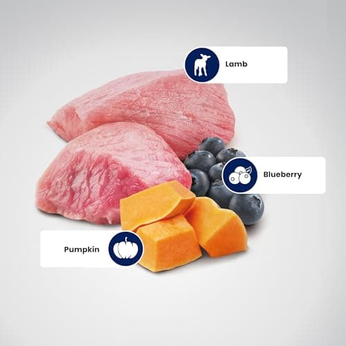 Farmina N&D Pumpkin Adult Medium/Maxi Dog Food | Lamb, Blueberry & Pumpkin | Rich in Anti-oxidants|Complete Food for Adult Dogs | 2.5kg | No Artificial Preservatives 4