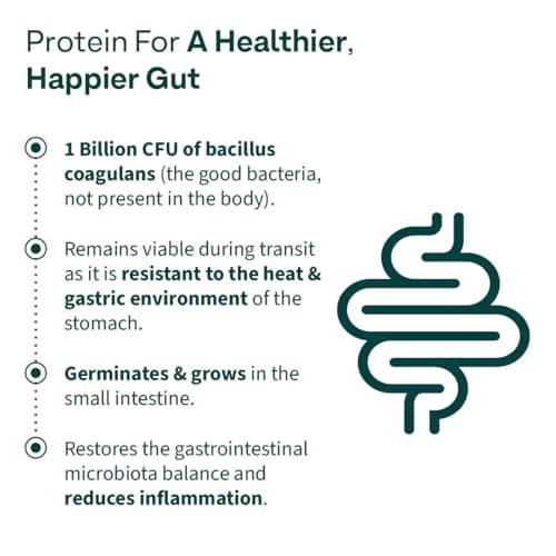 OZiva Daily Protein Activ for Women | Best Protein Powder for Women with 120g Protein, Probiotics, Shatavari for Increased Energy Levels, Bone Health and Hormonal Balance 300g (Chocolate, Pack 1) 4